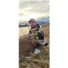 Image 3 : ALASKA, SELF-GUIDED SITKA BLACKTAIL HUNT — 1 HUNTER, 3 DAYS