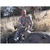 Image 1 : ARIZONA, RIFLE COUES DEER HUNT — 2 HUNTERS, 5 DAYS