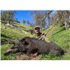 Image 4 : TEHACHAPI, PIG HUNT — 2 HUNTERS, 2 DAYS