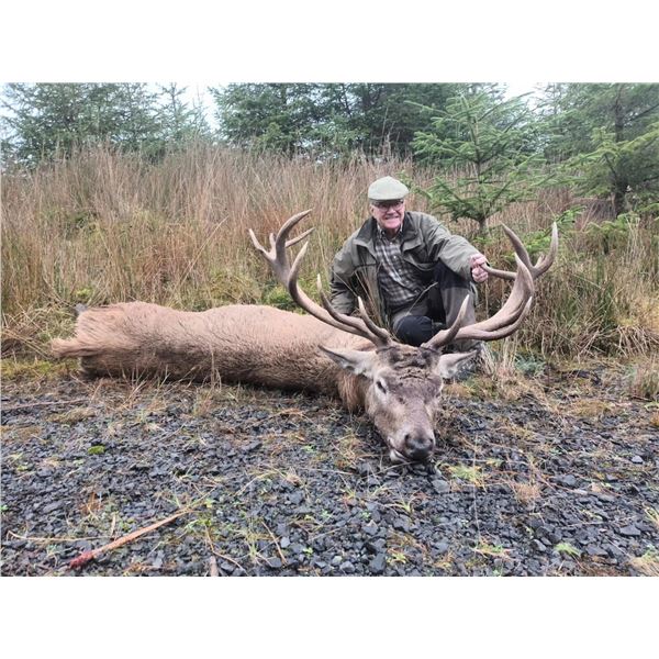 IRELAND, TROPHY HUNTING — 1 HUNTER & 1 OBSERVER, 5 DAYS