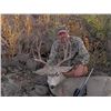 Image 2 : ARIZONA, RIFLE MULE DEER HUNT — 2 HUNTERS, 5 DAYS