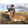 Image 1 : MONTANA, ANTELOPE HUNT — 2 HUNTERS, 3 DAYS