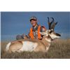 Image 2 : MONTANA, ANTELOPE HUNT — 2 HUNTERS, 3 DAYS