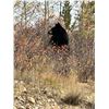Image 3 : WYOMING, BEAR HUNT — 2 VETERAN HUNTERS, 7 DAYS