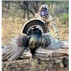 Image 1 : MEXICO, GOULDS TURKEY HUNT — 2 HUNTERS, 5 DAYS