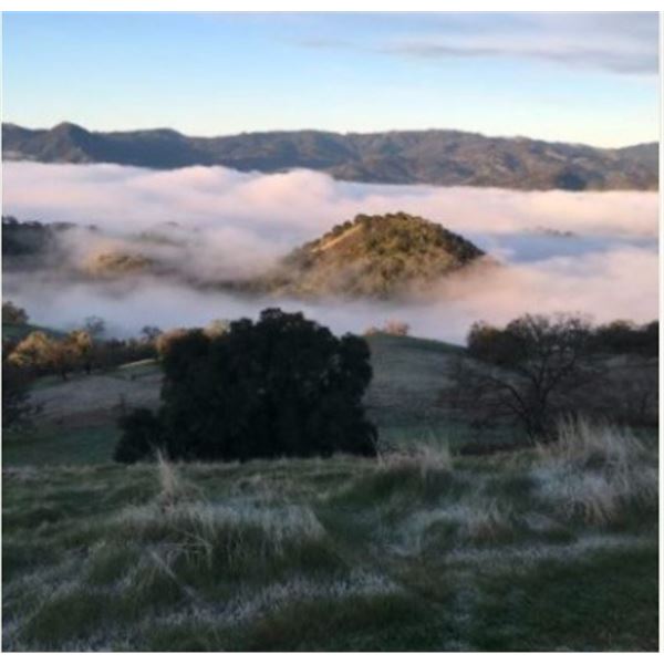 CALIFORNIA, HREC BLACKTAIL HUNT — 1 HUNTER, 1 DAY