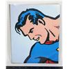 Image 1 : SUPERMAN THE COMPLETE HISTORY BOOK