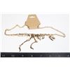 Image 1 : NEW GOLD TONE TYRANNOSAUR SKELTON NECKLACE