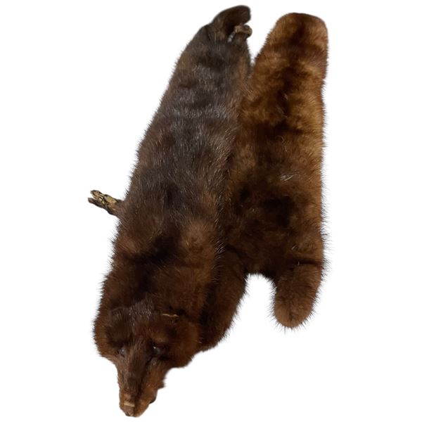 2 Piece Mink or Marten Stole (48" Total Length)