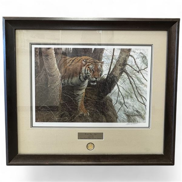 Robert Bateman Ltd. Edition Print "On The Edge - Tiger" (Triple matted in a 36" x 31" framed)