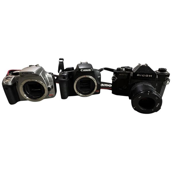 Camera Lot: Canon EOS Rebel XS, Ricoh Auto TLS, Eos Rebel XT