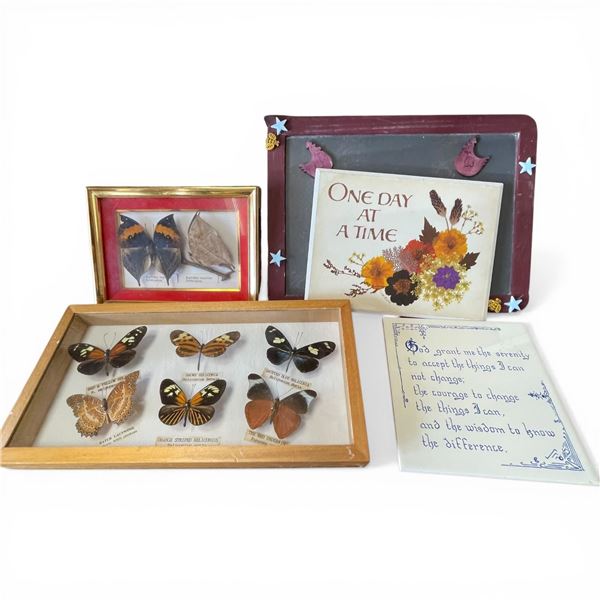 2 Framed Butterfly Displays & Assorted Plaques