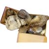 Image 1 : 2 Boxes of  Vintage Fur Hats and Stoles