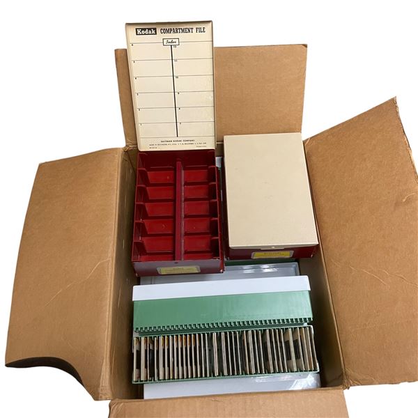 Vintage Slide Collection Featuring Family Photos, Family Vacations & Wildlife Including Polar Bears