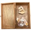 Image 4 : Japanese Music Box, Box of Shells and Jewelry Box with Jewelry