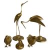 Image 1 : Collection of Brass Birds Largest is 17"