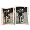 Image 5 : Baseball and Hockey Collectible Memorabilia