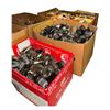 Image 3 : Large Group of Assorted Vintage Loose Vacuum Tubes