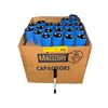 Image 1 : Vintage 600MFD 250VDC Max Surge 300VDC Computer Grade Capacitors Box of Mallory