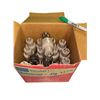 Image 1 : Group of Assorted Joint Army Navy Vintage Vacuum Tubes Model: JAN - CTL - 5R4WGB