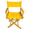 Image 2 : Vintage Folding Director's Chair with Accent Pillow