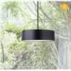 Image 2 : BNIB - Canarm Dexter Pendant Light - RV: $298 CAD, Matte Black (IPL318A03BK16)