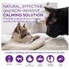 Image 2 : Group of 2 - New TopSum Cat Calming Diffuser Refill (4 Pack) - RV: $93 CAD