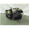 Image 1 : Homelite Pump