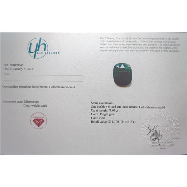$11,100 Appraisal - 8.9 ct Cert. Colombian Emerald gemstone