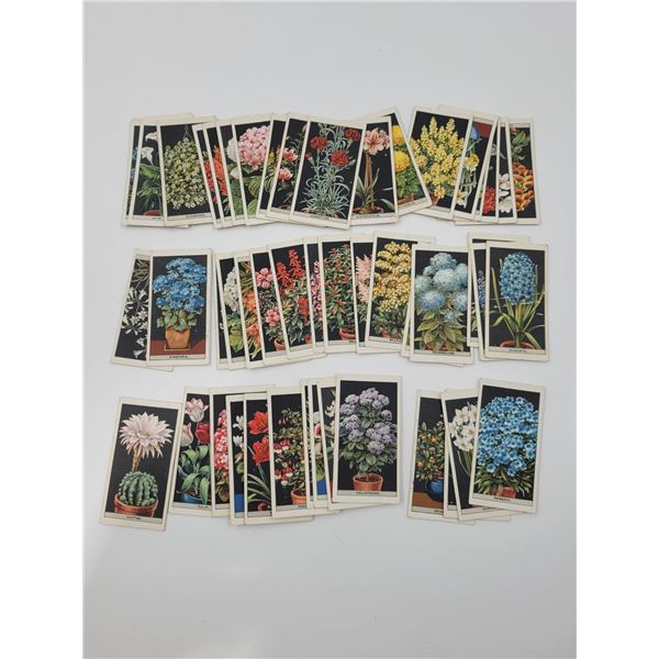 Lot of VTG Flower Tobacco Cards