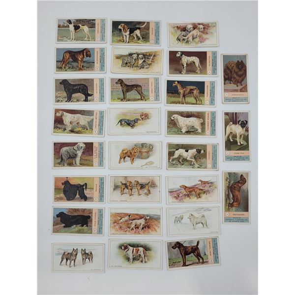Lot of VTG Dog Tobacco Cards