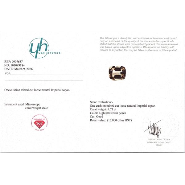 $13,000 Appraisal - 9.73 ct Cert. Imperial Topaz gemstone Untreated