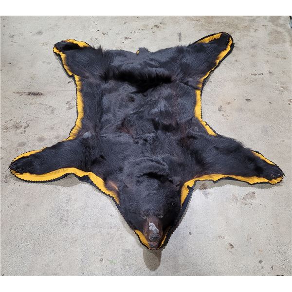 Bear Skin Rug