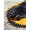 Image 3 : Bear Skin Rug