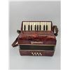 Image 1 : Weltmeister Accordion