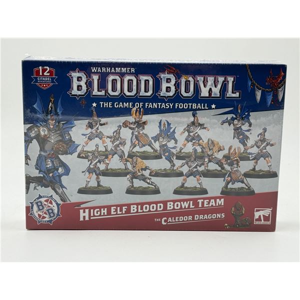Warhammer Blood Bowl The Game of Fantasy Football The Caledor Dragons 12 Miniature Set