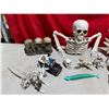 Image 4 : Skeleton Decor Lot