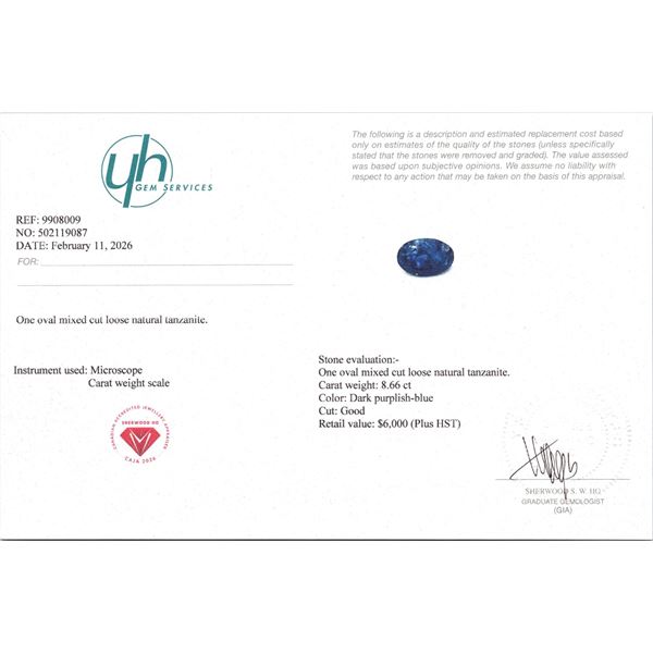 $6,000 Appraisal - 8.66 ct Cert. Tanzanite gemstone