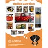 Image 1 : Online Auction