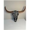 Image 1 : Metal Skull Wall Mount