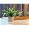 Image 1 : Artificial Plants