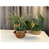 Image 1 : 3 Fake Plants Wicker baskets