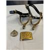 Image 1 : Halloween costume accessories