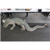 Image 1 : Large Cast Bronze Alligator Statuary