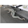 Image 2 : Large Cast Bronze Alligator Statuary
