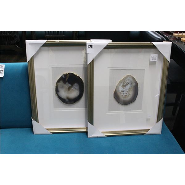 Framed Agate In Shadowbox Displays - 2