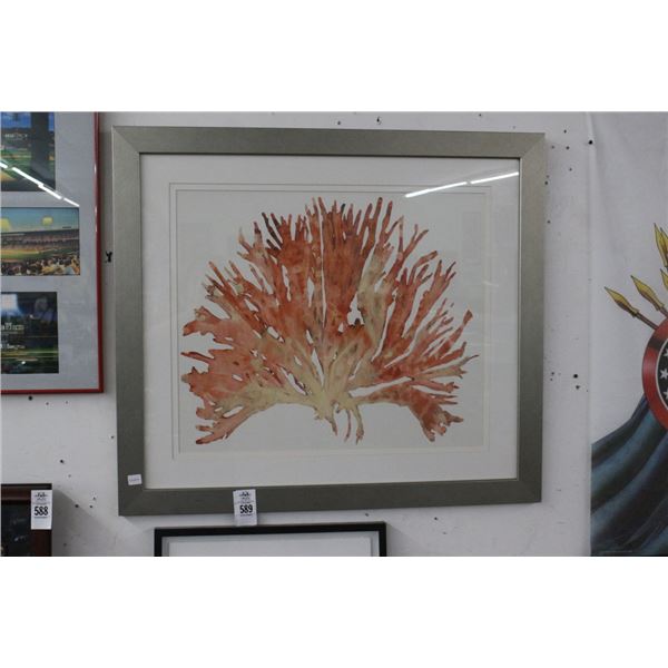 Framed Coral Wall Art -  30"  X  30"
