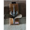 Image 1 : Packard hood ornament