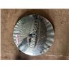 Image 1 : Terraplane Hubcap