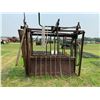 Image 4 : Green cattle squeeze